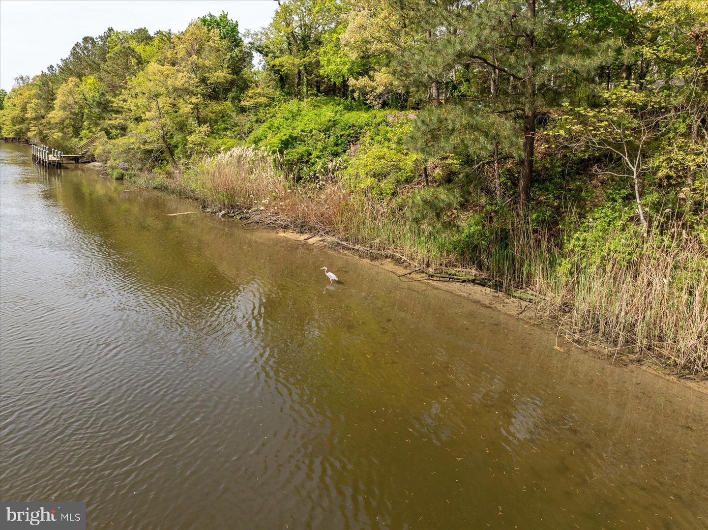 DESU2061336-803042613382-2024-08-14-12-58-06 16 Canal Street | Rehoboth Beach, DE Real Estate For Sale | MLS# Desu2061336  - Coldwell Banker Premier