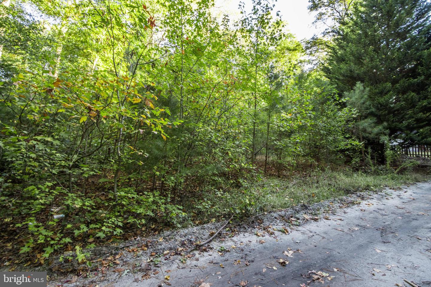 DESU2072564-803424452724-2024-10-19-01-14-42 Lot B15 Ohnmacht Ln | Georgetown, DE Real Estate For Sale | MLS# Desu2072564  - Coldwell Banker Premier