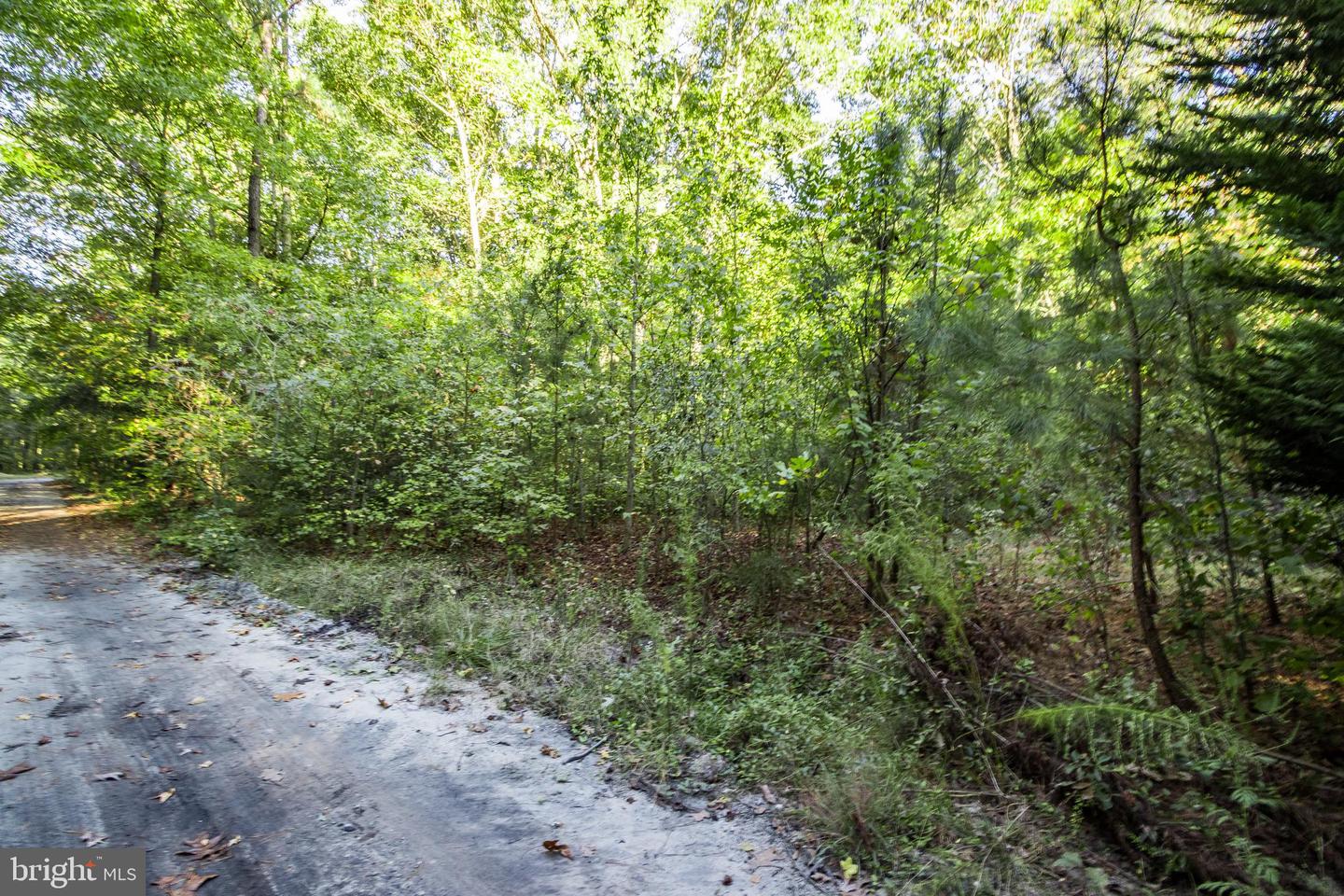 DESU2072564-803424452800-2024-10-19-01-14-41 Lot B15 Ohnmacht Ln | Georgetown, DE Real Estate For Sale | MLS# Desu2072564  - Coldwell Banker Premier