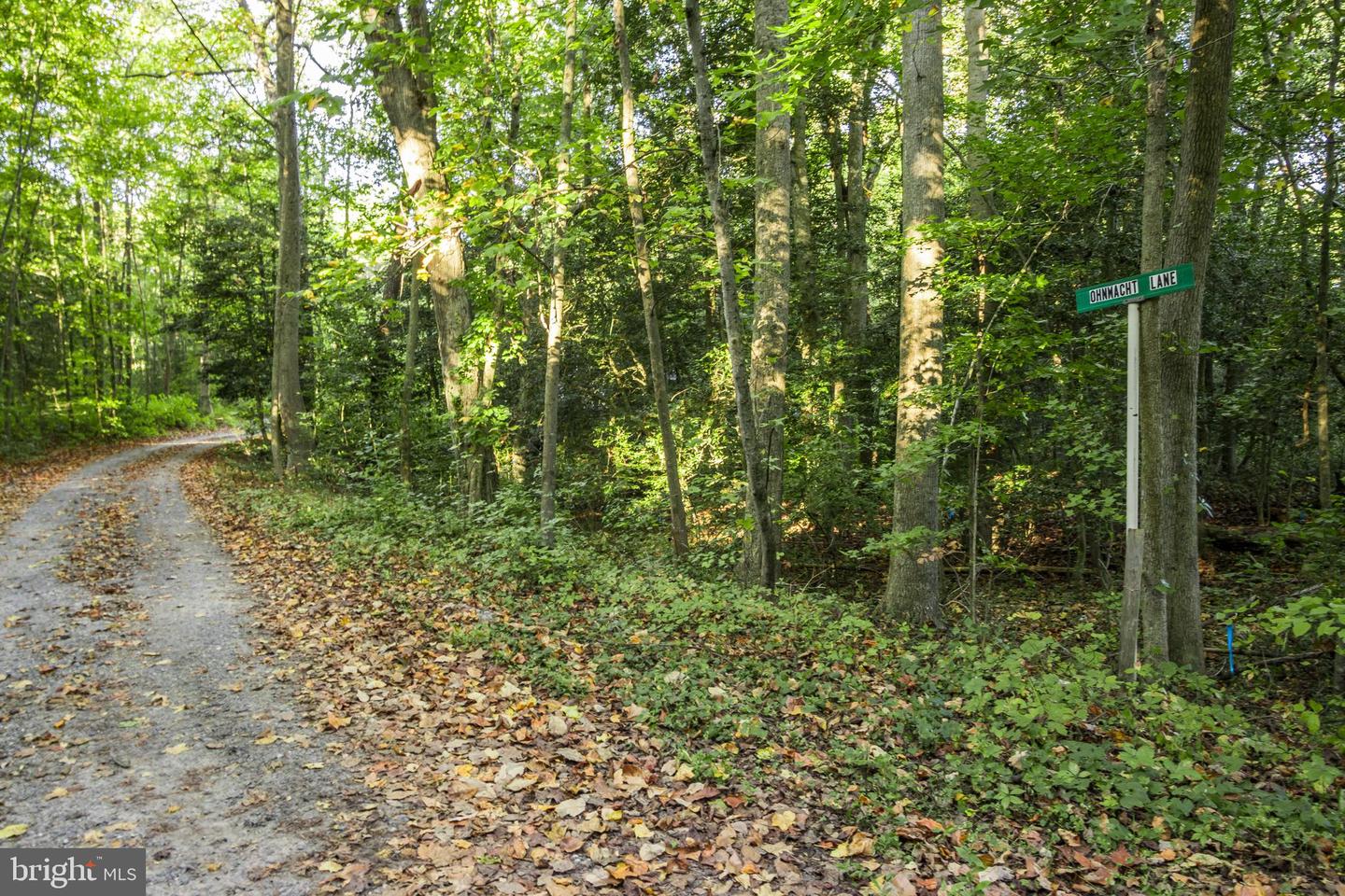 DESU2072564-803424452872-2024-10-19-01-14-41 Lot B15 Ohnmacht Ln | Georgetown, DE Real Estate For Sale | MLS# Desu2072564  - Coldwell Banker Premier