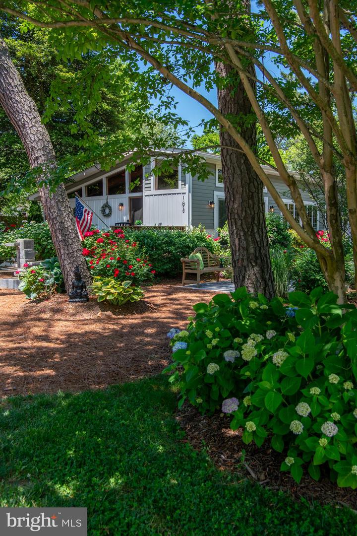 DESU2073330-803448585926-2024-10-26-21-43-48 103 Carolina St | Dewey Beach, DE Real Estate For Sale | MLS# Desu2073330  - Coldwell Banker Premier